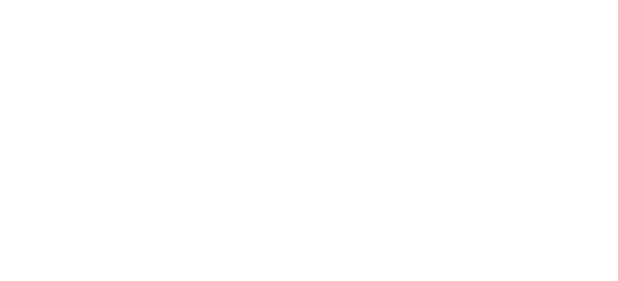 VeEX